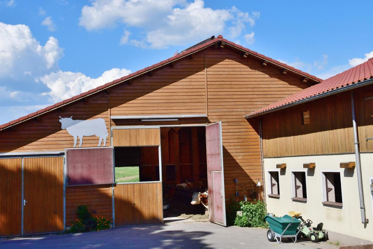 Ferienwohnung Burgerhof Pullenreuth Екстериор снимка
